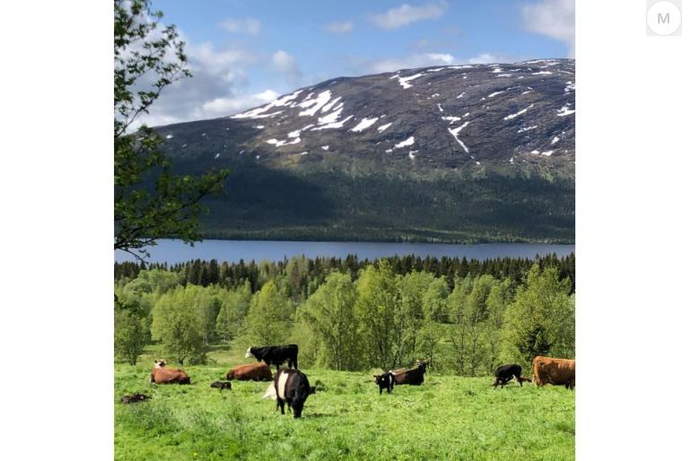 Andelslägenhet i Ottsjö Fjällby säljes