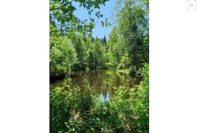Kolonistuga i Perstorp