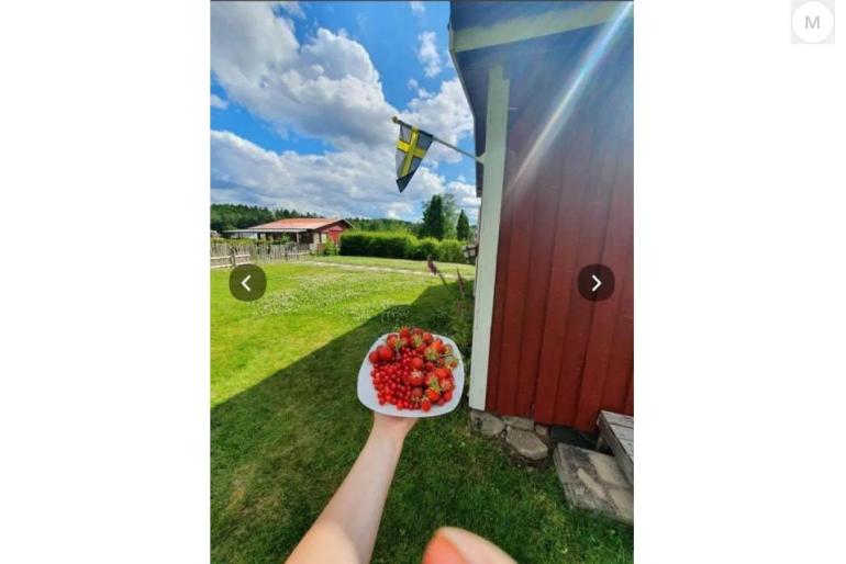 Kolonistuga i Perstorp